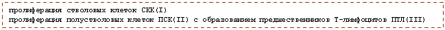 Подпись: пролиферация стволовых клеток СКК(I)
пролиферация полустволовых клеток ПСК(II) с образованием предшественников Т-лимфоцитов ПТЛ(III)
