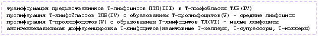 Подпись: трансформация предшественников Т-лимфоцитов ПТЛ(III) в Т-лимфобласты ТЛБ(IV)
пролиферация Т-лимфобластов ТЛБ(IV) с образованием Т-пролимфоцитов(V) - средние лимфоциты
пролиферация Т-пролимфоцитов(V) с образованием Т-лимфоцитов ТЛ(VI) - малые лимфоциты
антигеннезависимая дифференцировка Т-лимфоцитов(неактивные Т-хелперы, Т-супрессоры, Т-киллеры)
